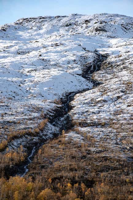 Kvaløya Island: Photography Tour with Snacks - Who Will Most Enjoy This Tour?