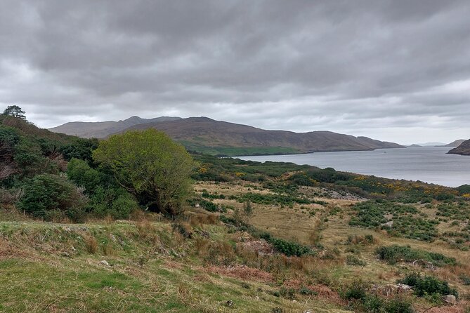 Kylemore Abbey, Connemara and Sky Road Private Tour from Galway - Key Points