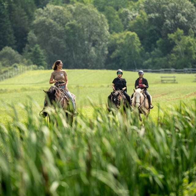 La Bleuetière: A charming introduction to horseback riding - The Experience Provider: Les Montagnards de Charlevoix