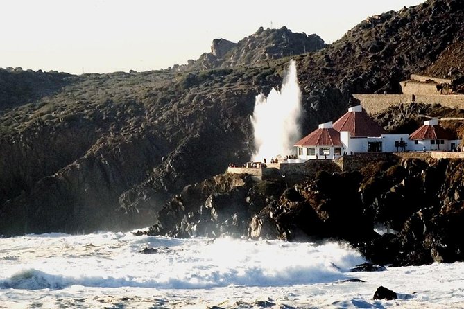 La Bufadora Tour in Baja California - Explore La Bufadora and Baja California with a Guided Tour