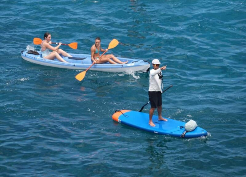 La Caleta: Kayak and Snorkel Tour - Starting Point and Meeting Logistics in Caleta de Adeje