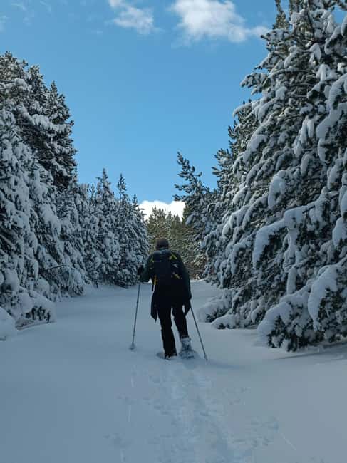 La Cerdanya: Snowshoe hike to the peaks of the Pyrenees - The Scenic Route: From Forests to Mountain Vistas