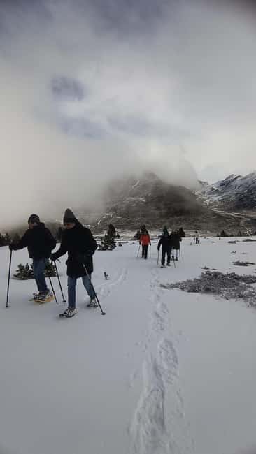 La Cerdanya: Snowshoe hike to the peaks of the Pyrenees - Who Should Consider This Snowshoe Tour