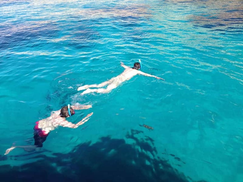 La Ciotat: Calanques Morning Boat Tour with Snorkeling - Swimming and Snorkeling at Anse de lArène