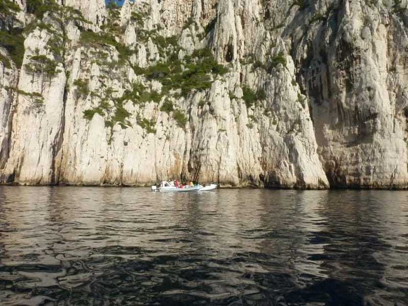 La Ciotat: Calanques Morning Boat Tour with Snorkeling - Who Should Consider This Tour?