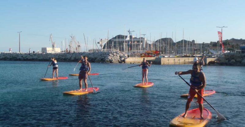 La Ciotat: Calanques National Park Stand-Up Paddleboard Tour - Logistics and Group Size