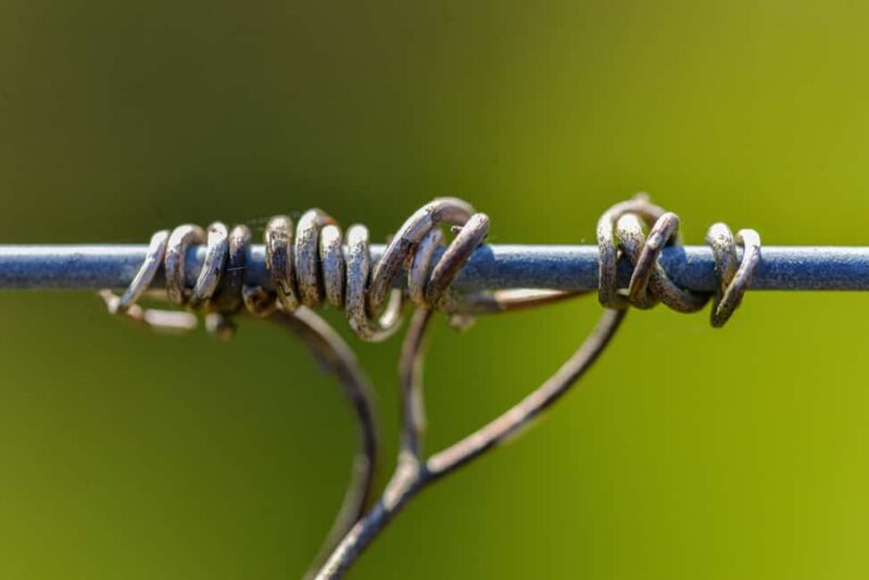 La Closerie de Fronsac: Classic Wine Tasting Tour - The Guide: Expert and Approachable