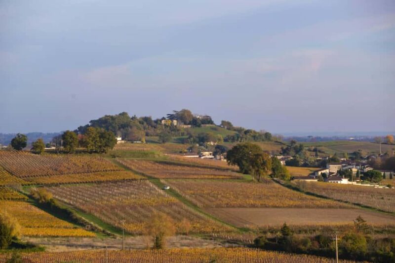 La Closerie de Fronsac: Classic Wine Tasting Tour - Who Will Appreciate This Tour Most?