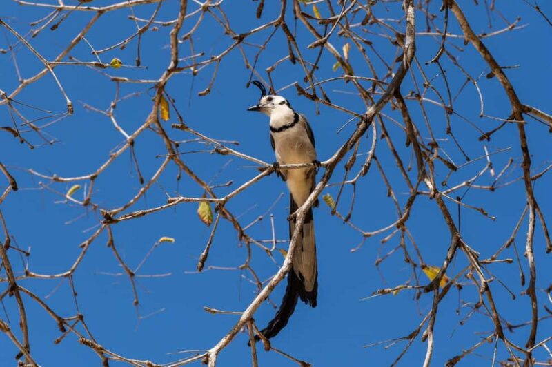 La Crucecita: Hiking and Snorkling/ Drinks and Fruits - Experience the Best of Huatulco with Hiking, Viewpoints, and Snorkeling