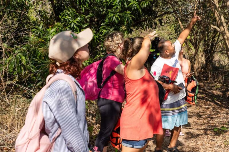 La Crucecita: Hiking and Snorkling/ Drinks and Fruits - Hiking Through Tropical Trees and Mangroves