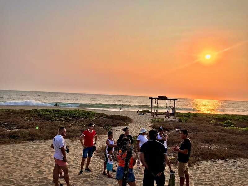 La Crucecita: Magic Lagoon Bioluminescence and Turtles Tour - Comparing This Tour to Similar Experiences