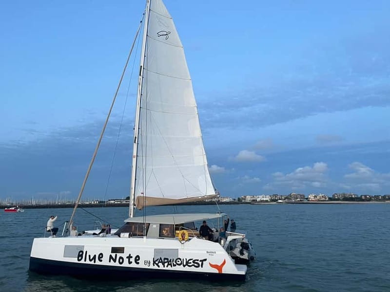 La Flotte en Ré - 4 hrs Sailing Catamaran Half-Day Cruise - Key Points