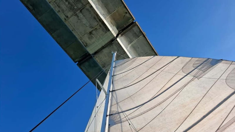La Flotte en Ré - 4 hrs Sailing Catamaran Half-Day Cruise - Unique Landscapes and Landmarks Visible from the Sea