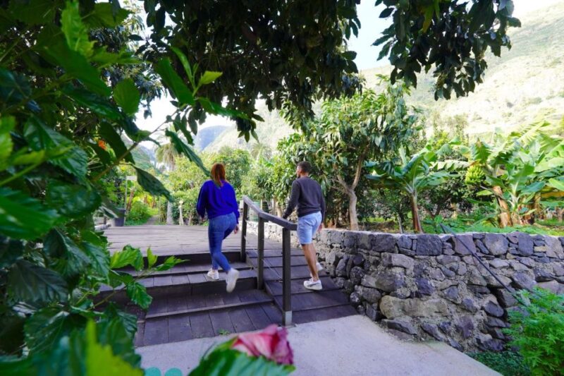 La Gomera: Entry Ticket for The Ethnographic Park - Explore La Gomera’s Ethnographic Park for Only $6