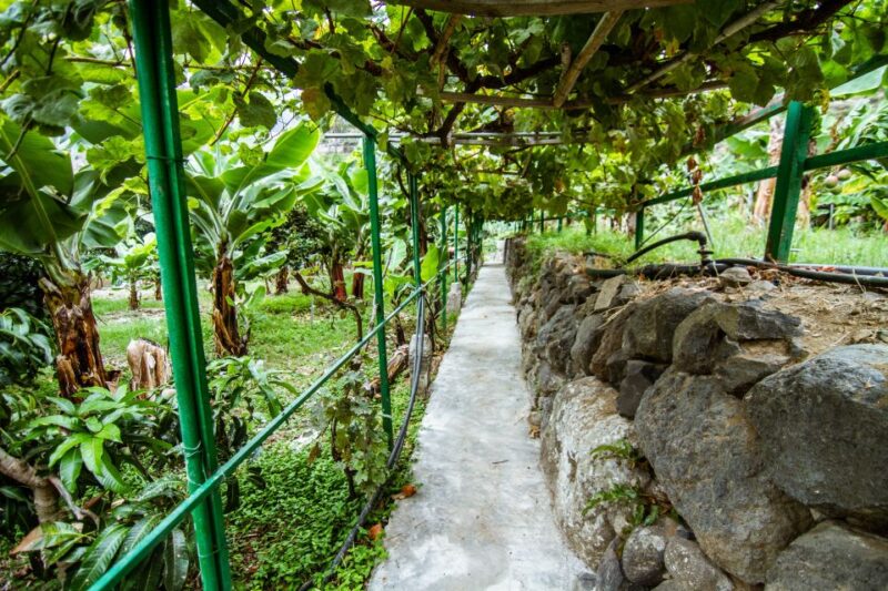 La Gomera: Entry Ticket for The Ethnographic Park - Price and Overall Value