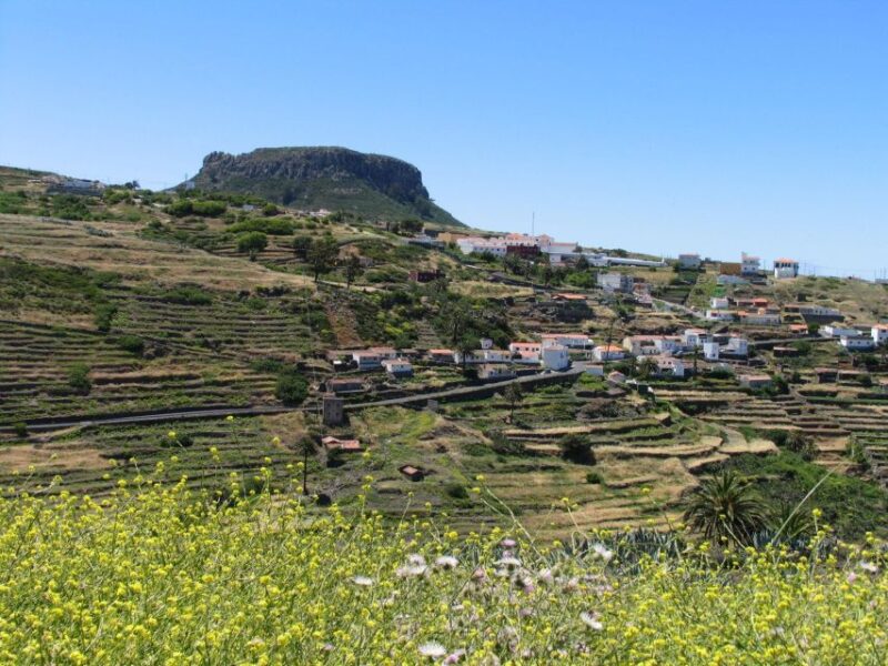 La Gomera: Guided Hiking Tours from Valle Gran Rey - What You Can Expect from the Guided Trekking Experience