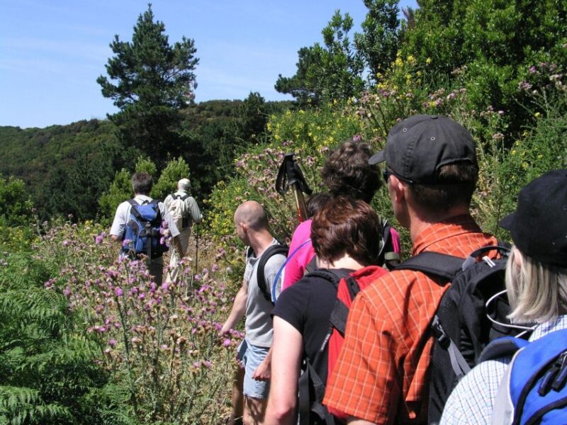 La Gomera: Guided Hiking Tours from Valle Gran Rey - Physical Requirements and Accessibility