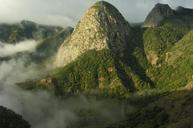 La Gomera Island Tour - The Journey Begins at Garajonay National Park’s Laurel Forest