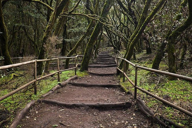 La Gomera Island Tour - La Laguna Grande: Nature and Fauna in Focus