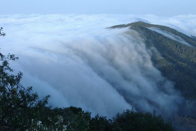 La Gomera Island Tour - Includes Ferry Ride and Lunch for a Relaxed Day