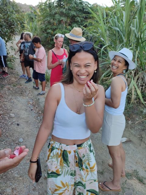 La Herradura Coffee Farm: tour in Europe's only plantation - Key Points