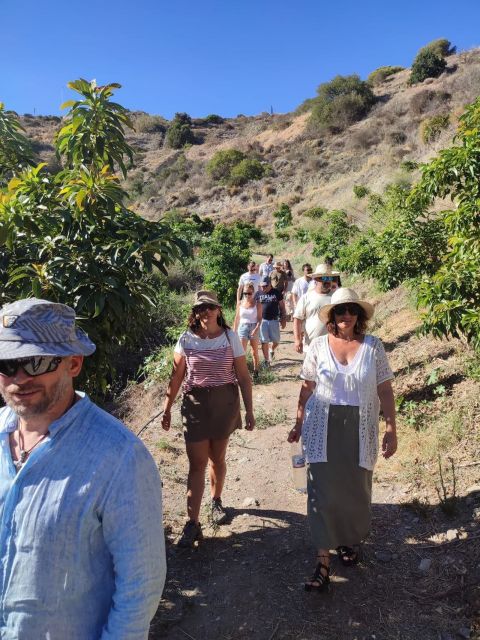 La Herradura Coffee Farm: tour in Europe's only plantation - What the 70-Minute Guided Tour Covers