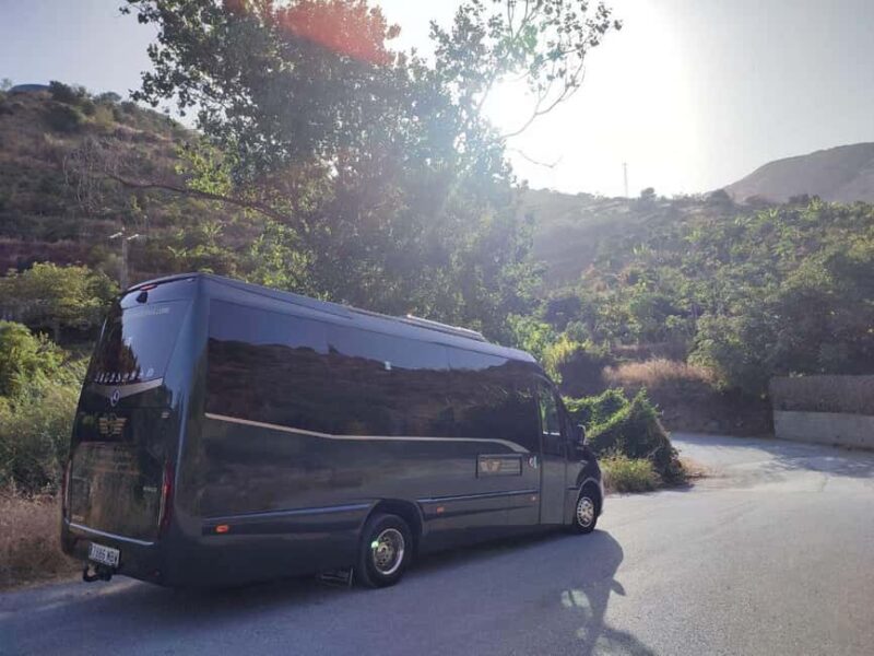 La Herradura Coffee Farm: tour in Europe's only plantation - Tours and Additional Activities in the Area