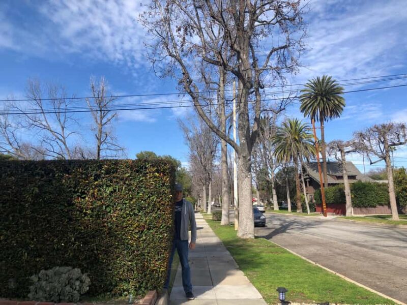 LA: Horror Film Locations Tour - Visiting Hollywood and Beyond in a Horror Context