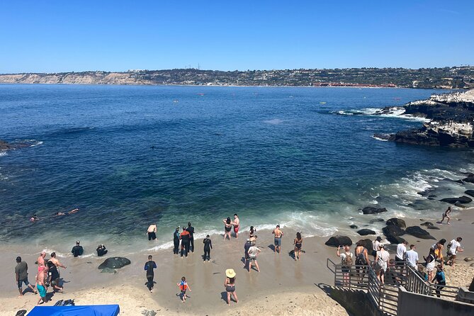 La Jolla E-Scooter Tour with Photos Included - Scenic Return Through La Jolla Neighborhoods and Bird Rock