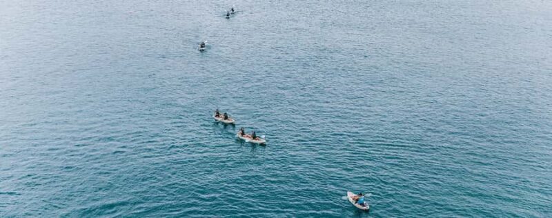 La Jolla: Sea Cave Kayaking Tour with Guide - Final Thoughts on La Jolla Sea Cave Kayaking