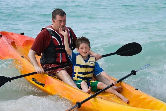 La Jolla Sea Caves Kayak Tour (Single Kayak) - The Guides Role and Educational Highlights