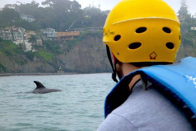 La Jolla Sea Caves Kayak Tour (Single Kayak) - Physical Requirements and Equipment