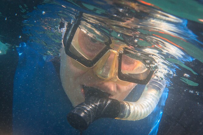 La Jolla Snorkel with the Leopard Sharks - Limitations and Considerations from Reviews