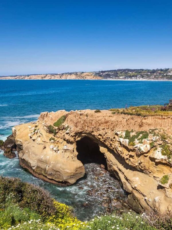 La Jolla - The Jewel of San Diego - Guided Walking Tour - Explore La Jolla’s Iconic Oceanfront and Native Roots