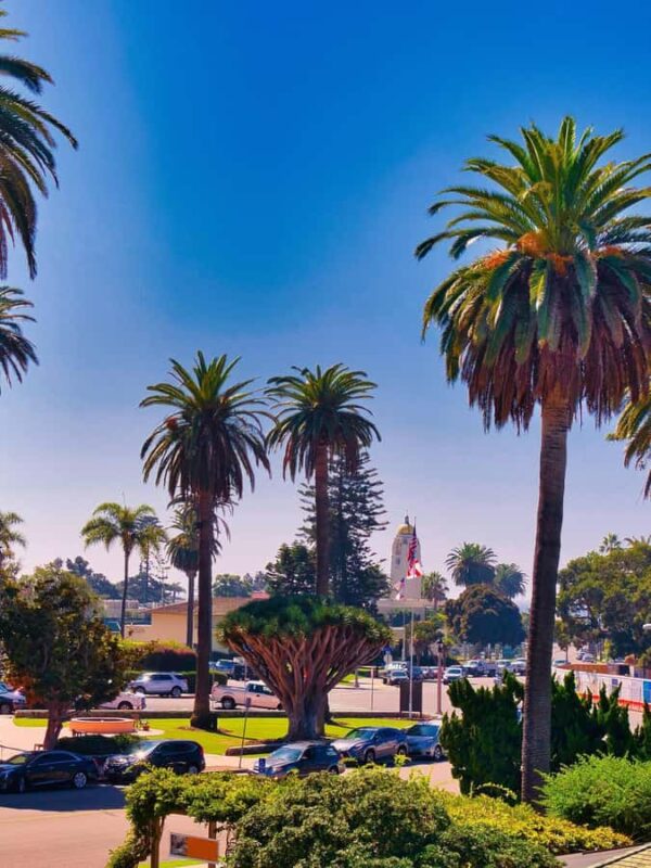 La Jolla - The Jewel of San Diego - Guided Walking Tour - Limitations and Considerations