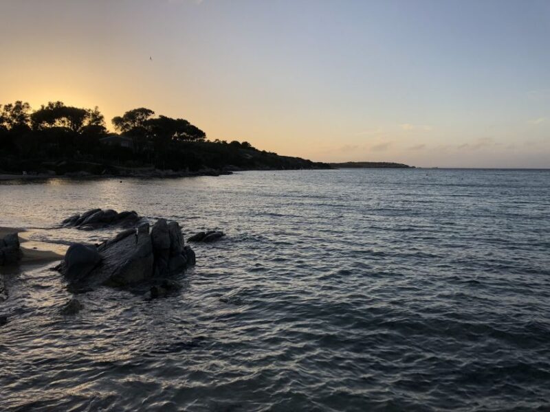 La Maddalena: afternoon snorkeling tour from Porto Pollo - The Guide and Multilingual Experience