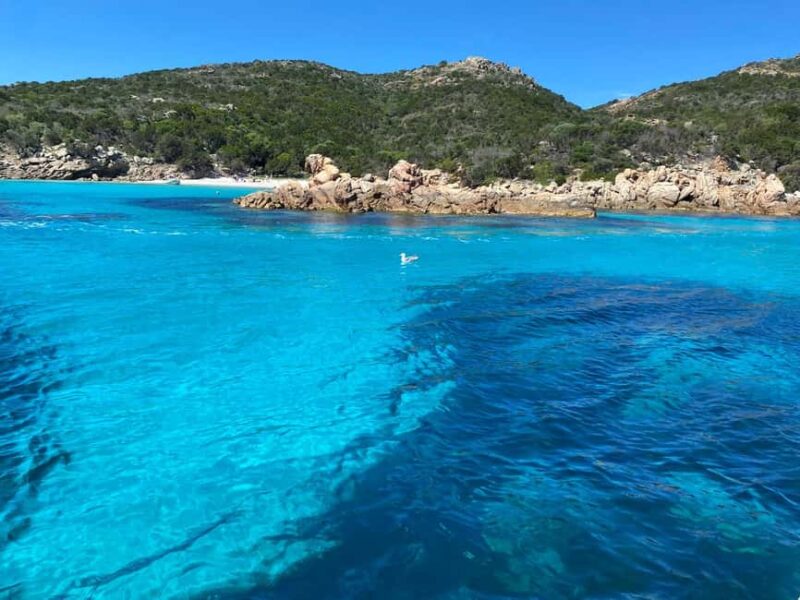 La Maddalena Archipelago: Exclusive tour in a luxury rubber dinghy. - Practical Details: Meeting Points and What to Bring