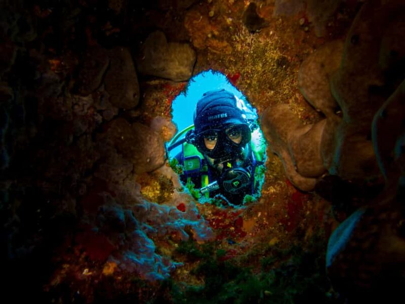 La Maddalena & Lavezzi : scuba diving for certified divers. - Discover the Best Dive Spots in La Maddalena & Lavezzi with Pollo Diving