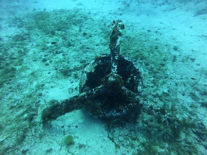 La Maddalena & Lavezzi : scuba diving for certified divers. - Know Before You Go: Practical Tips and Requirements