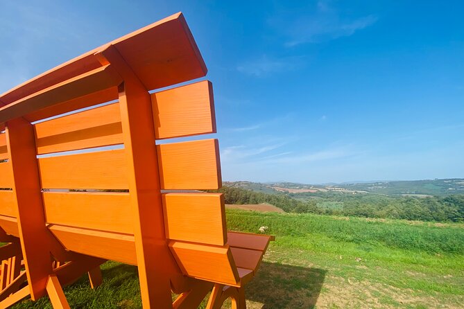 La Maliosa Farm Experience & Wine Tasting - Exploring the Vineyard Walk and Panoramic Views in Tuscany