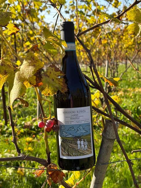 La Morra: Tasting of 5 Wines between Langhe & Roero - Key Points