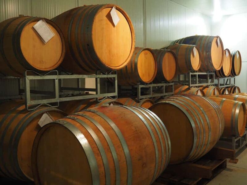 La Morra: Tasting of 5 Wines between Langhe & Roero - How the Season Affects the Tasting Atmosphere