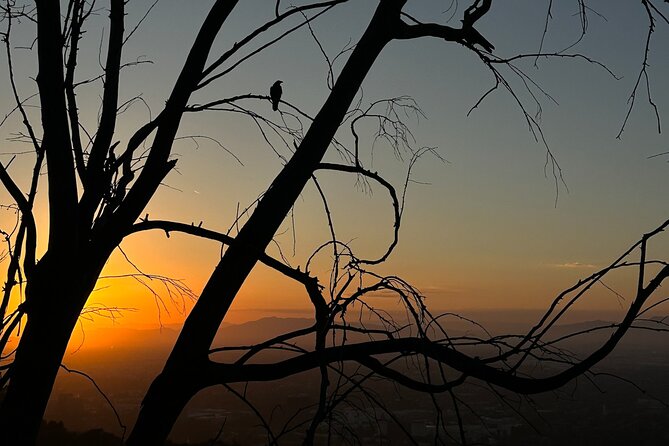 LA Night Hikers - Booking, Cancellation, and Weather Policies