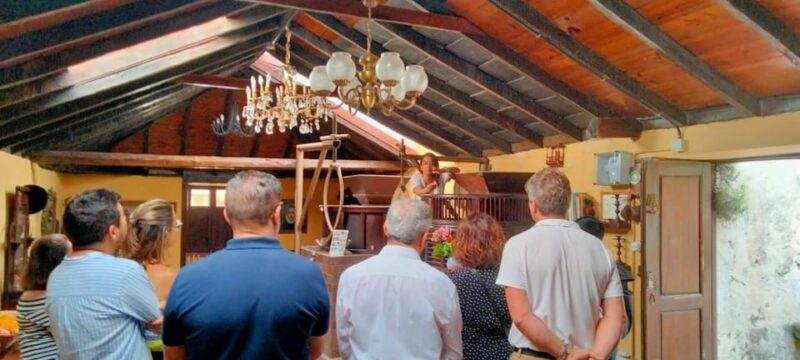 La Orotava: guided tour with gofio tasting, Los Molinos de la Villa - Key Points