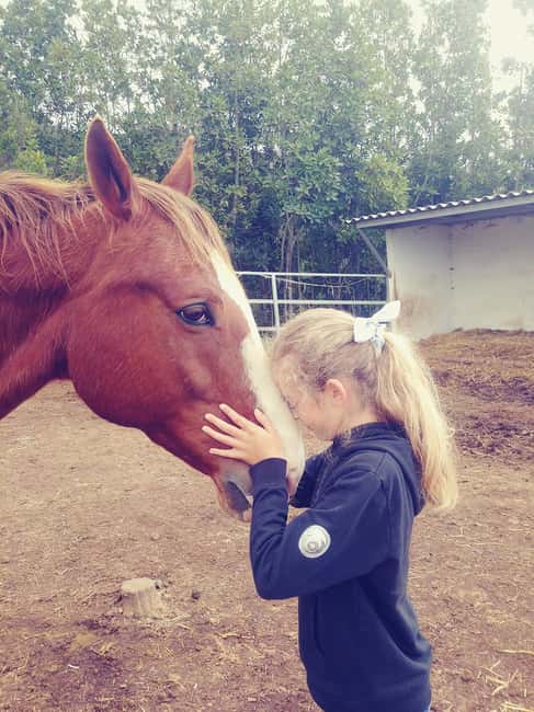 La Orotava: Workshop "Natural Horsemanship" and Permaculture - Discover the Unique Blend of Permaculture and Horse Communication in La Orotava