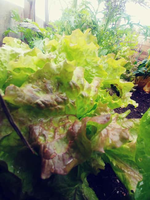 La Orotava: Workshop "Natural Horsemanship" and Permaculture - What’s Included and What You Need to Bring