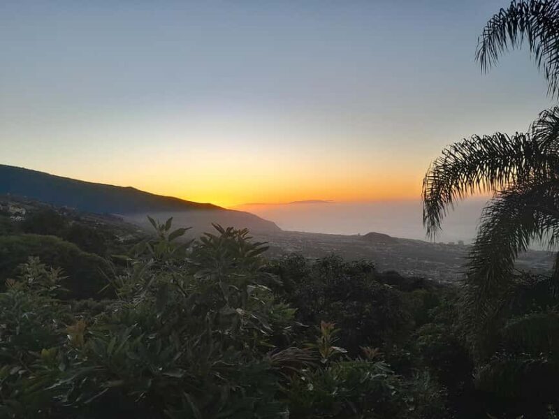 La Orotava: Workshop "Natural Horsemanship" and Permaculture - La Orotava: Workshop "Natural Horsemanship" and Permaculture in Review