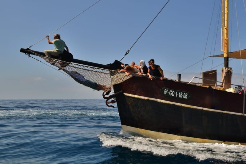 La Palma: 4 Stunden Bussard Classic Tour - The Volcano Delta and Nearby Stops