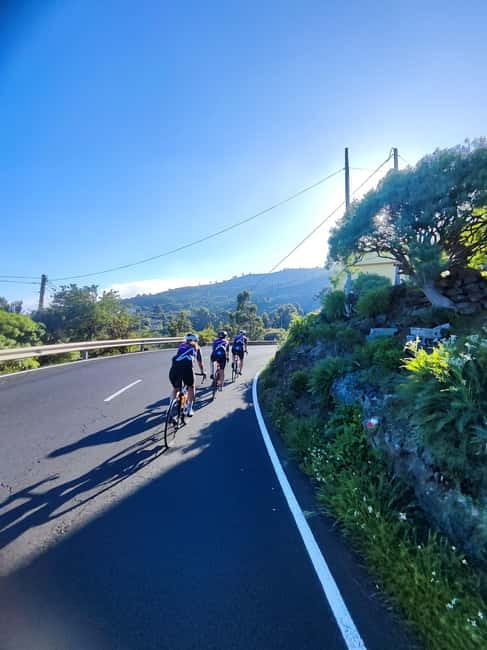 La Palma: Discover the south of the island on a road bike - Scenic Route from Refugio El Pilar to the East Coast