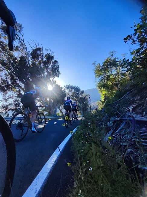 La Palma: Discover the south of the island on a road bike - Visiting Old Volcanoes and the Lava Field of 2021